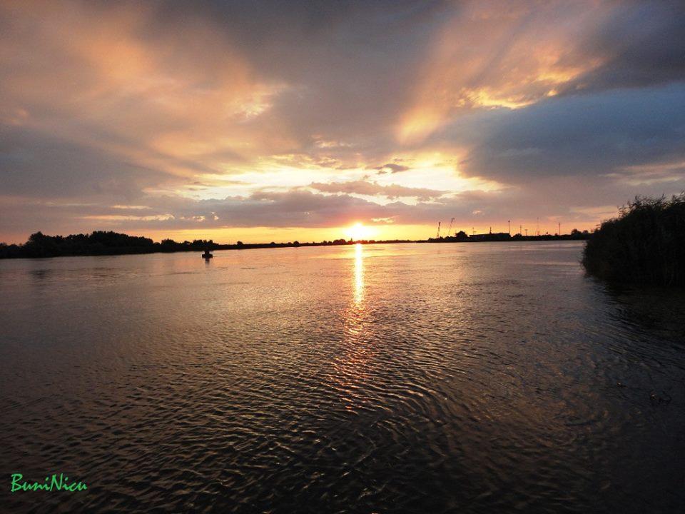 PLIMBARI IN DELTA  - 1069850.jpg